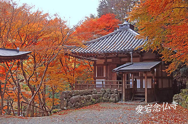 京都観光愛宕念仏寺3