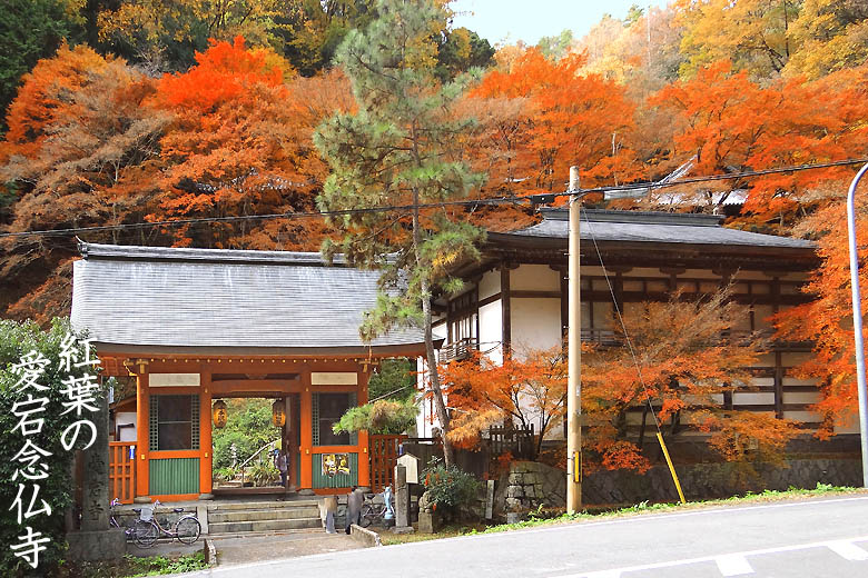 京都観光愛宕念仏寺78-1