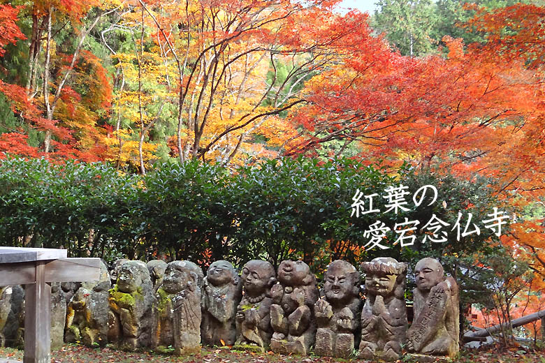 京都観光愛宕念仏寺78-2