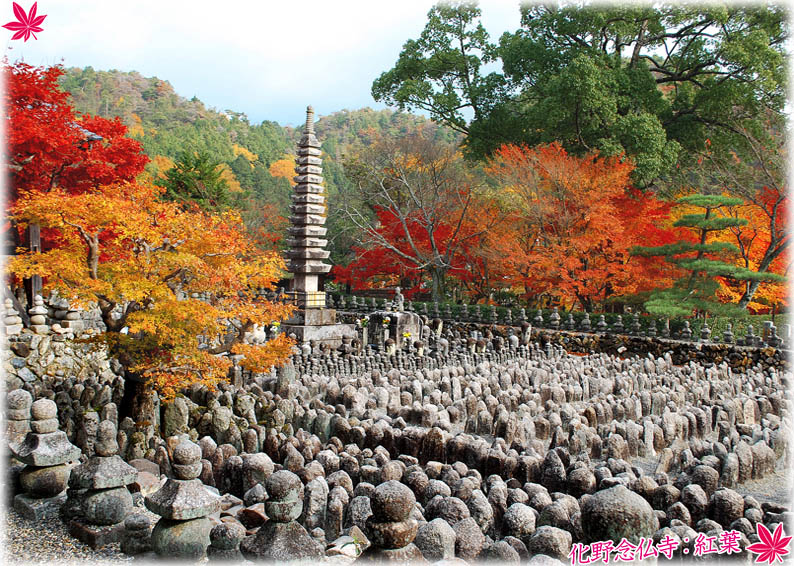 化野念仏寺紅葉1