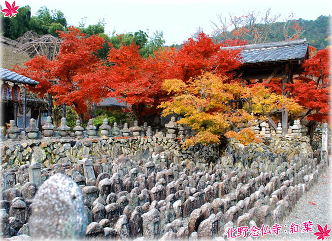 化野念仏寺紅葉3