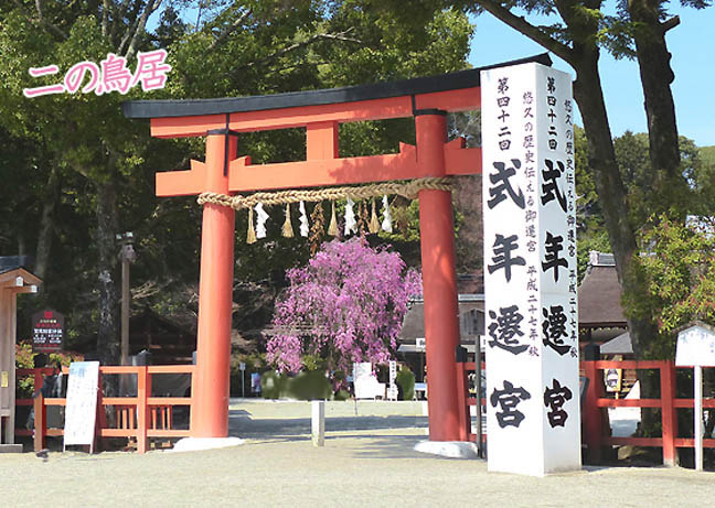 上賀茂神社桜7