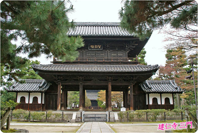 建仁寺桜6