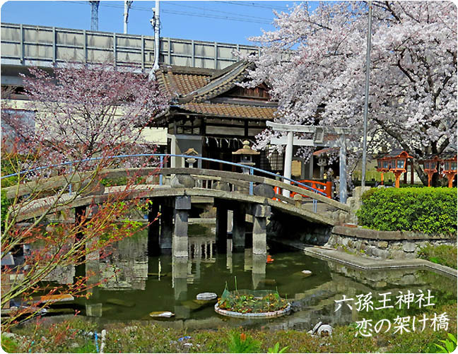 六孫王神社の桜7