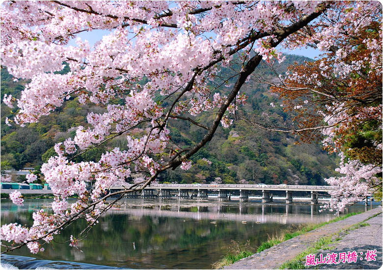 嵐山渡月橋78-1