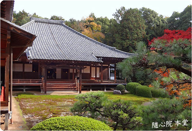 京都紅葉随心院3